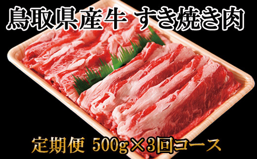 TT05：【定期便】鳥取県産牛すき焼き肉500g（3回お届け）
