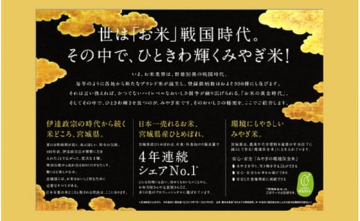 A 11 元気くん市場 ひとめぼれプレミアム米 3kg 宮城県美里町 ふるさと納税 ふるさとチョイス