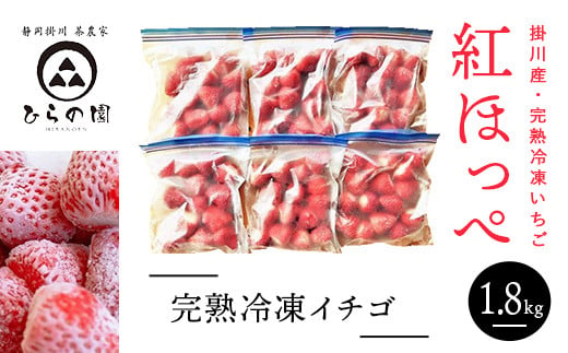 １５１５　掛川産・完熟冷凍イチゴ　紅ほっぺ　300g×6袋　計1.8kg　真っ赤な完熟×土耕栽培で香りと味が違います！　ひらの園　(　静岡　イチゴ　苺　いちご　土耕　）