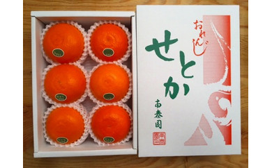 【ハーフ化粧箱】『柑橘の大トロ』ハウスせとか厳選6玉入