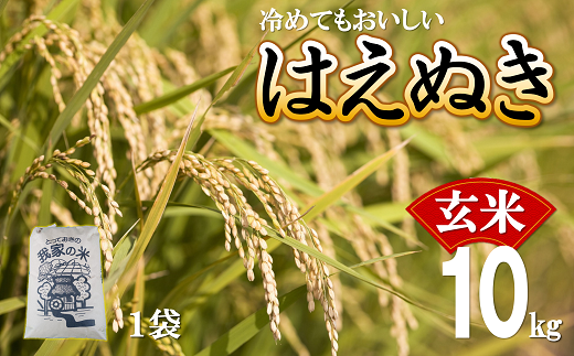 【農家直送】【玄米】令和4年産 はえぬき 10kg