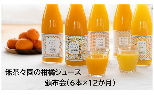 無茶々園の柑橘ジュース　頒布会（６本×12か月） 281282 - 愛媛県西予市