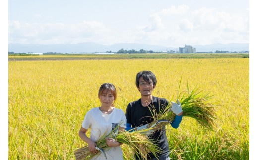 【令和5年産】 成澤農園の特別栽培米つや姫7kg(5kg+2kg) A05-028|成澤農園(有)