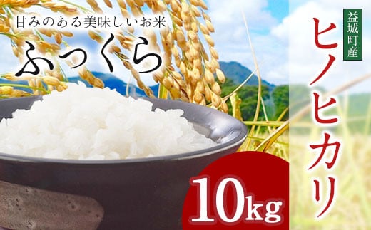 令和4年度産 熊本 益城町産 ヒノヒカリ 10kg お米