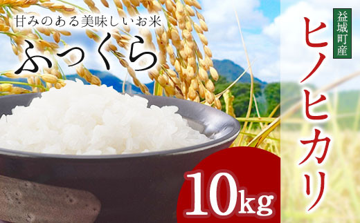 熊本 益城町産 ヒノヒカリ 10kg お米