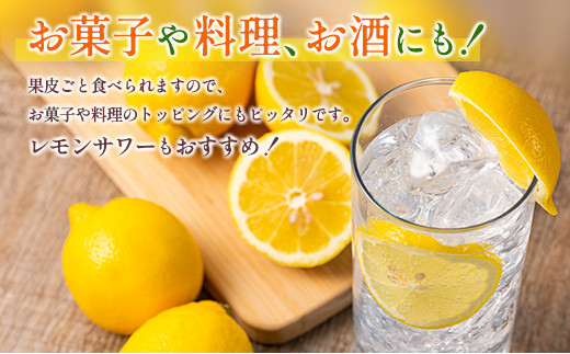 B164 21 期間 数量限定 希少 果汁たっぷり 日南産マイヤーレモン 計5kg フルーツ 果物 柑橘 宮崎県日南市 ふるさと納税 ふるさとチョイス
