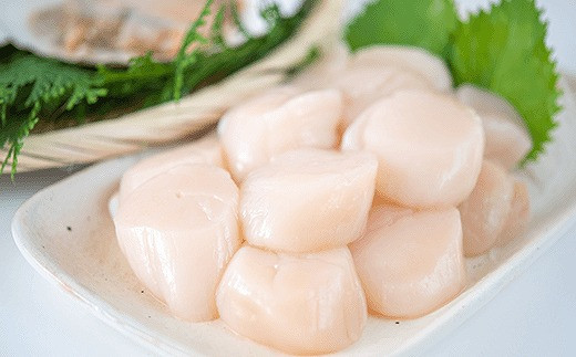 B-45003 ほたて貝柱500g×2P(計1.0kg)