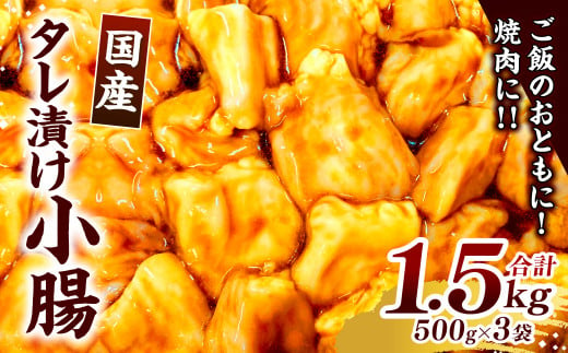 国産 タレ漬け 小腸 500g×3パック 計1.5kg ホルモン 小分け 焼肉