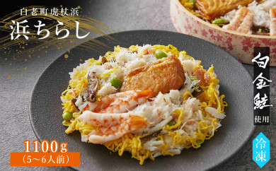 浜ちらし 大サイズ×1セット～ 白金鮭《プラチナサーモン》 使用～ 
