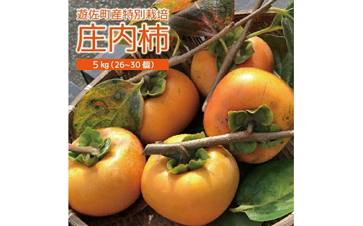 324 遊佐町産特別栽培庄内柿5kg