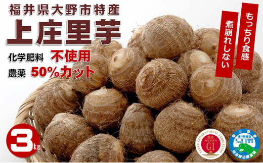 1 5月発送 こだわりの特別栽培 上庄里芋 3kg 化学肥料不使用 農薬50 以上カットの特別栽培里芋 農家直送 ふるさとチョイス限定 54 0565 福井県大野市 ふるさと納税 ふるさとチョイス