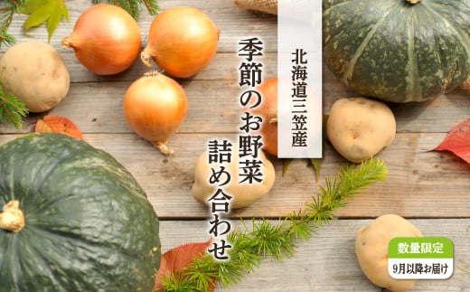 数量限定！季節のお野菜詰め合わせ 秋(配送時期：9月～10月)【01018】