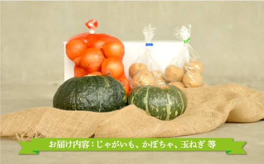 数量限定！季節のお野菜詰め合わせ 秋(配送時期：9月～10月)【01018】