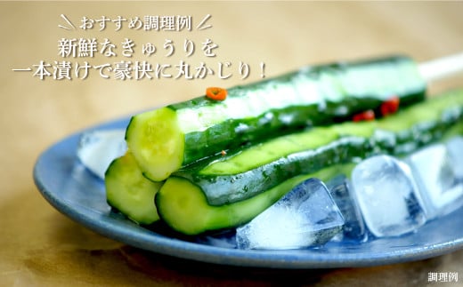 数量限定！季節のお野菜詰め合わせ 夏(配送時期：7月～8月)【01017】