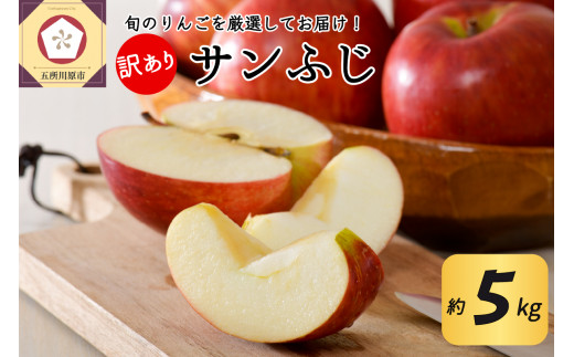 [選べる配送時期] [訳あり] りんご 約5kg サンふじ 青森産