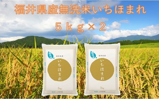 1411 福井が生んだブランド米「福井県産無洗米いちほまれ」5kg × 2袋