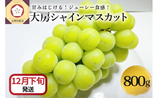 【2024年12月下旬発送】 シャインマスカット 大房 800g 青森産 1064508 - 青森県五所川原市