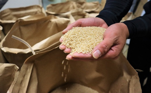 もち米 玄米３０kg 検査証明１等もち米 - 米・雑穀・粉類