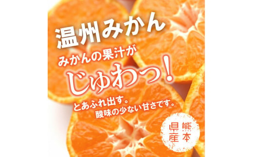 【訳あり】期間限定 温州みかん 和水町産 ご家庭用 10kg