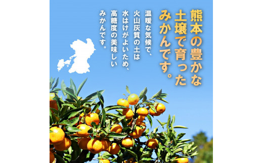 訳あり】期間限定 温州みかん 和水町産 ご家庭用 10kg - 熊本県和水町