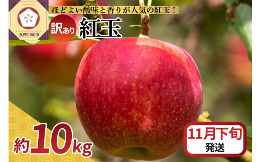 【2025年11月下旬発送】【訳あり】 りんご 10kg 紅玉 アップルパイ に最適 青森 不揃い 1064525 - 青森県五所川原市