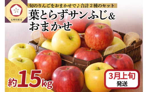 【2025年3月上旬発送】 りんご 15kg 詰め合わせ 計2種(葉とらず サンふじ と 他1種) 1064578 - 青森県五所川原市