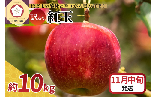 【2025年11月中旬発送】【訳あり】 りんご 10kg 紅玉 アップルパイ に最適 青森 不揃い