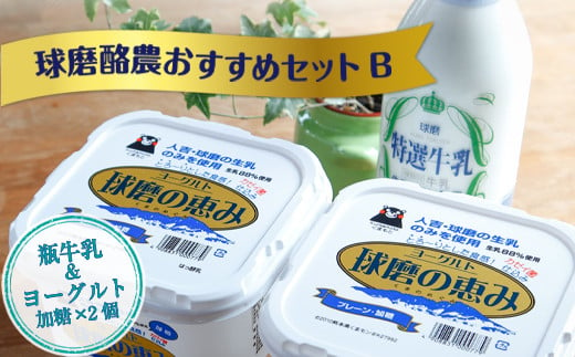 球磨酪農おすすめセットＢ(瓶牛乳&ヨーグルト加糖×2個)
