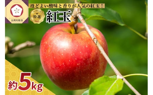 【選べる配送時期】 りんご 5kg 紅玉 青森
