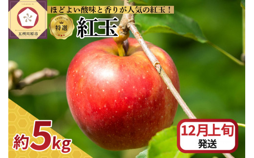 【2025年12月上旬発送】 【特選】りんご 5kg 紅玉 青森 1064541 - 青森県五所川原市