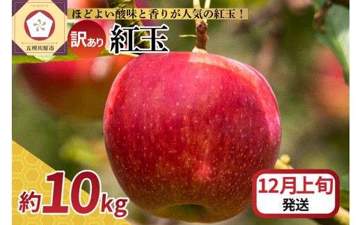 【2025年12月上旬発送】【訳あり】 りんご 10kg 紅玉 アップルパイ に最適 青森 不揃い 1064526 - 青森県五所川原市