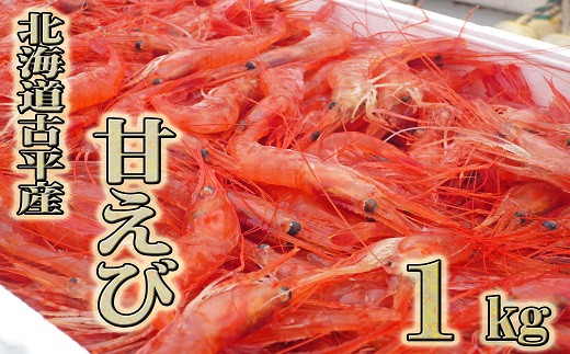 【110007】北海道古平産 漁師直送！甘えび１kg 955070 - 北海道古平町