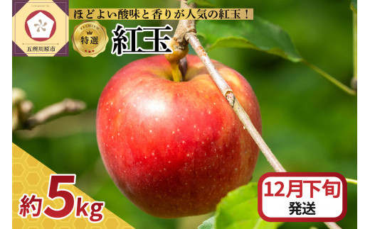 【2025年12月下旬発送】【特選】 りんご 5kg 紅玉 青森 1064543 - 青森県五所川原市
