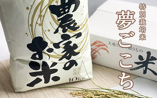 令和3年産 特別栽培米 夢ごこち 10kg 1袋 農家直送 21年産 山形県米沢市 ふるさと納税 ふるさとチョイス