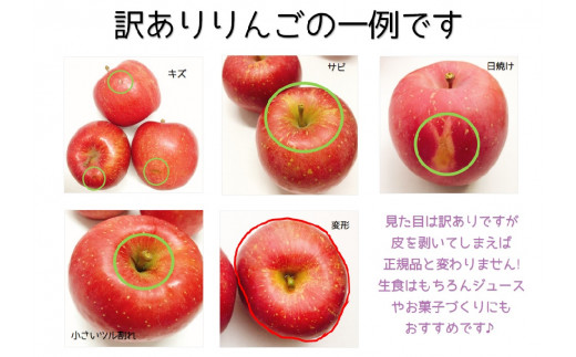 選べる 配送時期 訳あり りんご 15kg 詰め合わせ 計2種 サンふじ と 他1種 不揃い フルーツ 青森県五所川原市 ふるさと納税 ふるさとチョイス