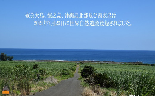 奄美・沖縄の豊かな大自然を感じながらお楽しみ下さい。