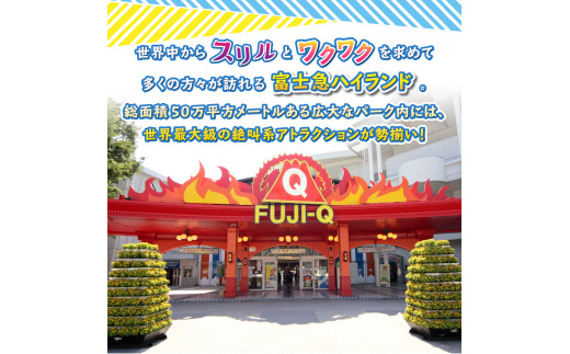 富士急ハイランド フリーパス ペアチケット FUJI Q 2019/09/30