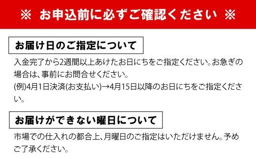 迎春 お正月 フラワー アレンジメント【コンパクト】【12月30日までの