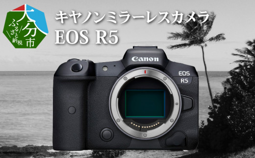 キヤノンミラーレスカメラ EOS R5