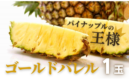 先行予約【2023年5月発送】沖縄県産パインの王様　ゴールドバレル（1.7kg程度）１玉