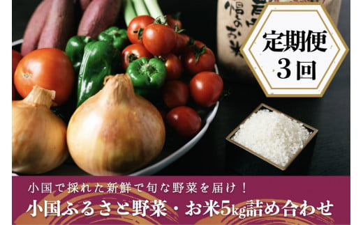 【定期便3回】阿蘇小国産・旬の野菜とお米5kgの詰め合わせ 798956 - 熊本県小国町