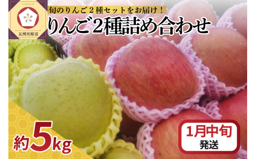 【2025年1月中旬発送】 りんご 5kg サンふじ 王林 他 紅白 詰め合わせ 青森 （16個～20個入） 1064605 - 青森県五所川原市