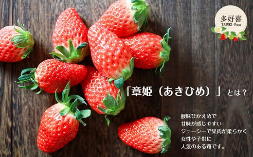 １５７８　掛川産苺 章姫 ( あきひめ ) 280ｇ×4Ｐ 計1,120ｇ 令和6年2月より順次発送 多好喜(たすき) ① 2月からの発送　②  3月からの発送　２つの中から発送月をお選びください