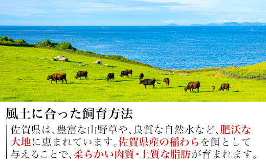 佐賀県は自然豊かな大地・自然水に恵まれていますので
柔らかい肉質・上質な脂肪が育まれます。