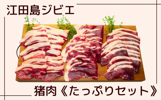 江田島ジビエたっぷりセット -江田島産イノシシ肉 スライス詰め合わせ-