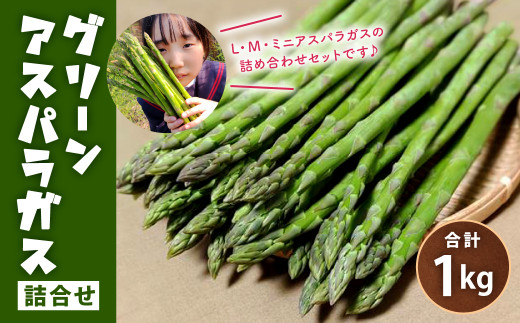 14-27 グリーン アスパラガス 詰め合わせ 1kg 野菜 佐賀県 323093 - 佐賀県鳥栖市