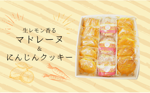 L 1 生レモン香るマドレーヌとクッキー詰め合わせ 千葉県習志野市 ふるさと納税 ふるさとチョイス