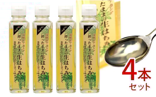 飛騨産 搾ったままの生はちみつ アカシアはちみつ 4本(200g×4)国産 蜂蜜 2126357 - 岐阜県飛騨市
