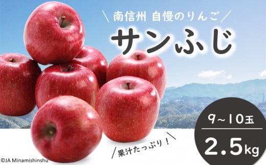 JA34-25A りんご サンふじ（小玉） 約2.5kg / 2025年11月下旬～12月上旬ごろ配送予定 // 長野県 南信州 贈答 ギフト お歳暮 ふじ フジ さんふじ 新鮮 林檎 リンゴ サンフジ