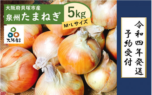 A0001 泉州玉ねぎ５kg 保存用ネット付 大阪府貝塚市 ふるさと納税 ふるさとチョイス